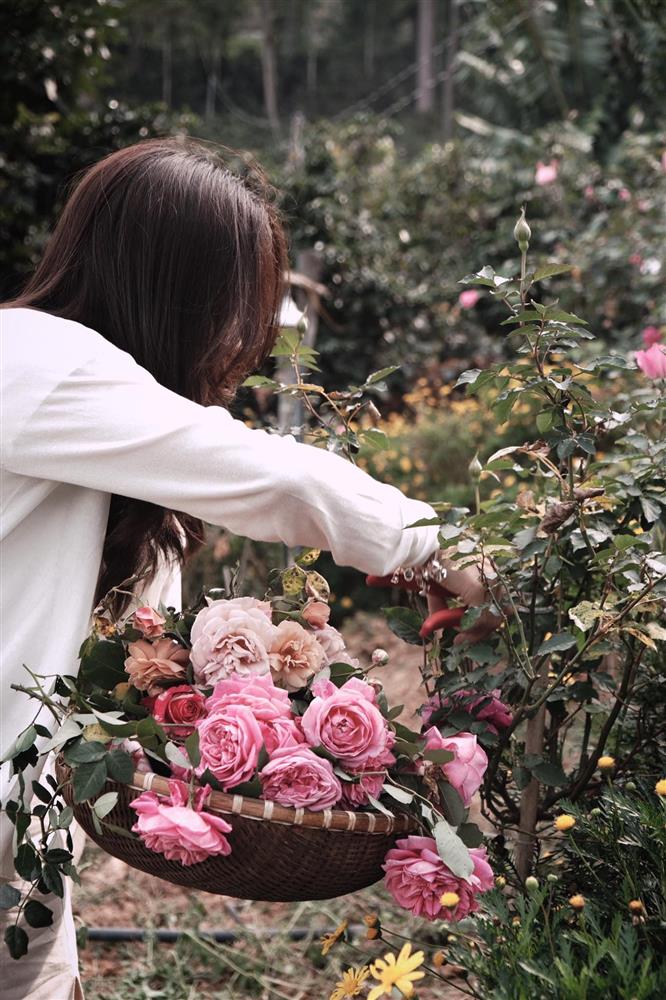 Ngôi nhà trên đỉnh núi mây phủ, ngập tràn hương sắc hoa-12