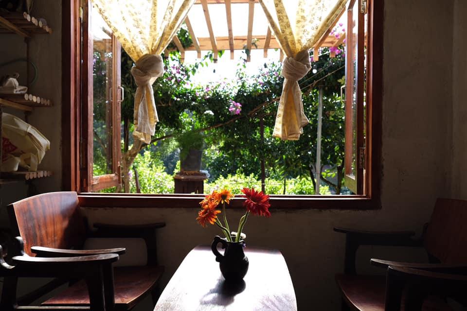 Ngôi nhà trên đỉnh núi mây phủ, ngập tràn hương sắc hoa-14