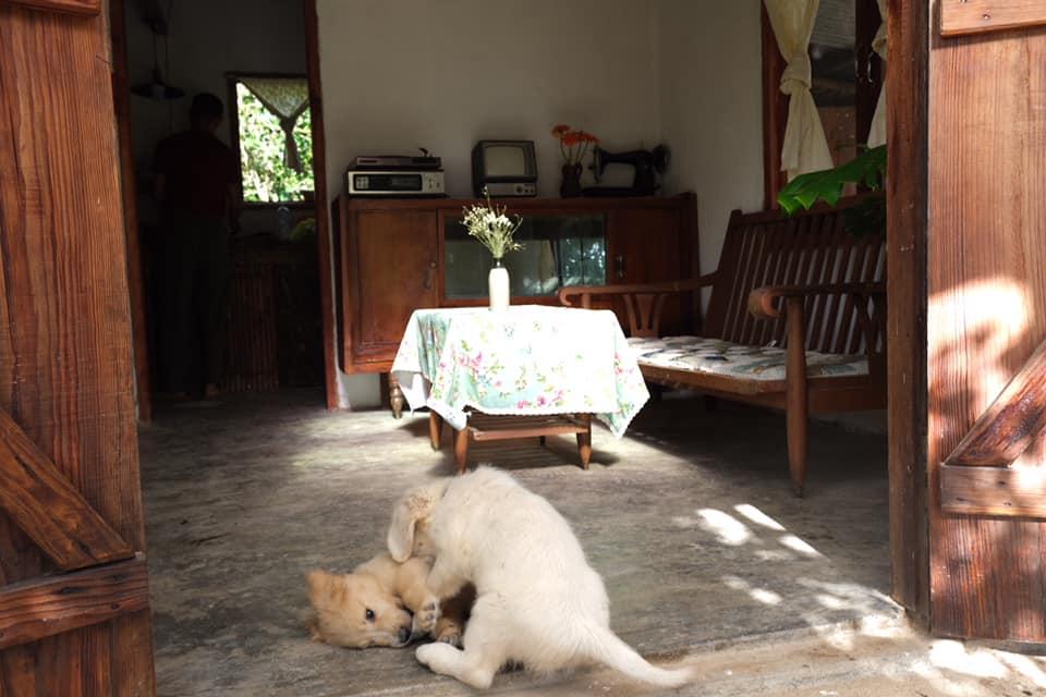 Ngôi nhà trên đỉnh núi mây phủ, ngập tràn hương sắc hoa-15