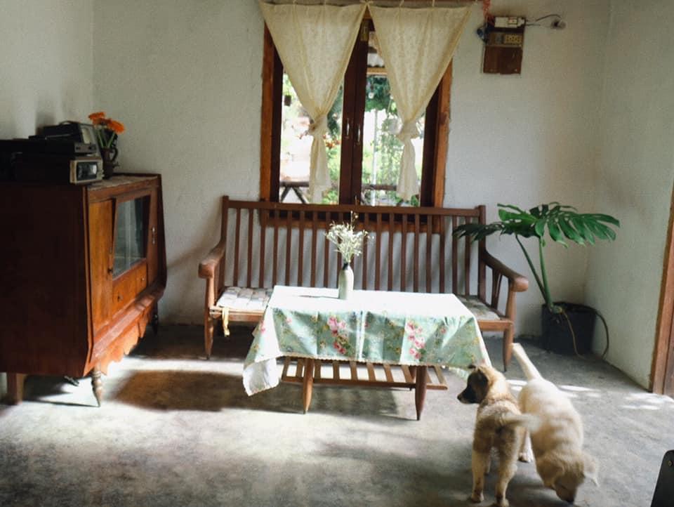 Ngôi nhà trên đỉnh núi mây phủ, ngập tràn hương sắc hoa-17