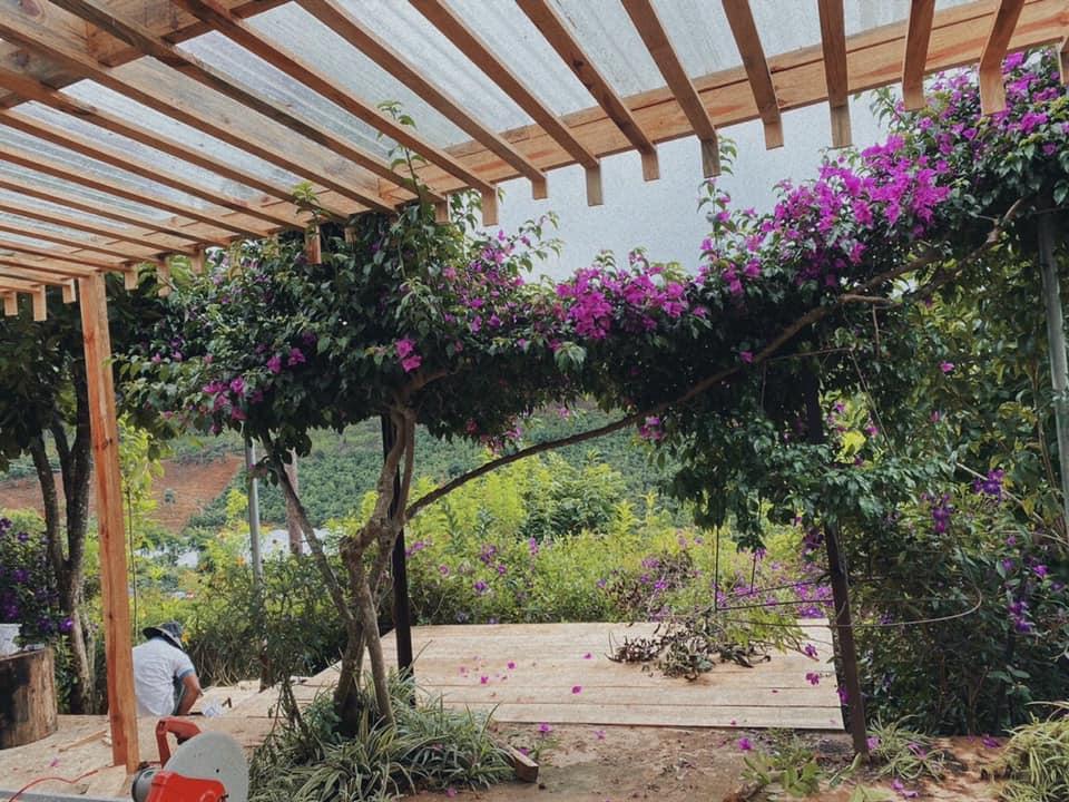 Ngôi nhà trên đỉnh núi mây phủ, ngập tràn hương sắc hoa-20