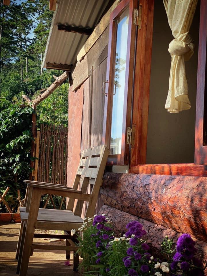 Ngôi nhà trên đỉnh núi mây phủ, ngập tràn hương sắc hoa-22