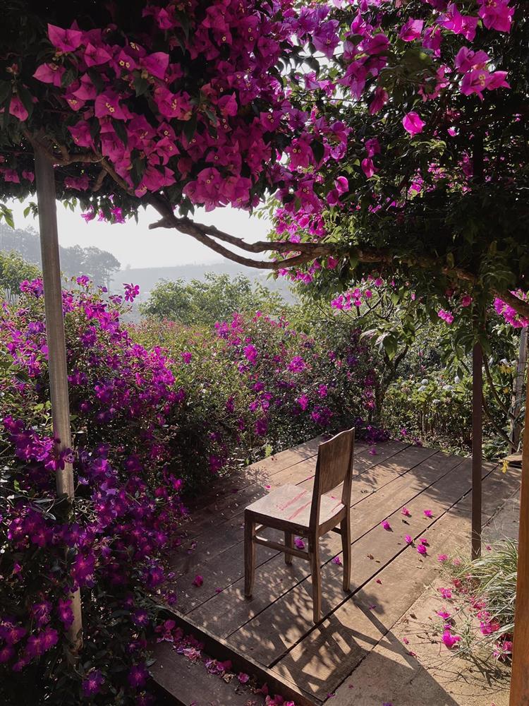 Ngôi nhà trên đỉnh núi mây phủ, ngập tràn hương sắc hoa-23