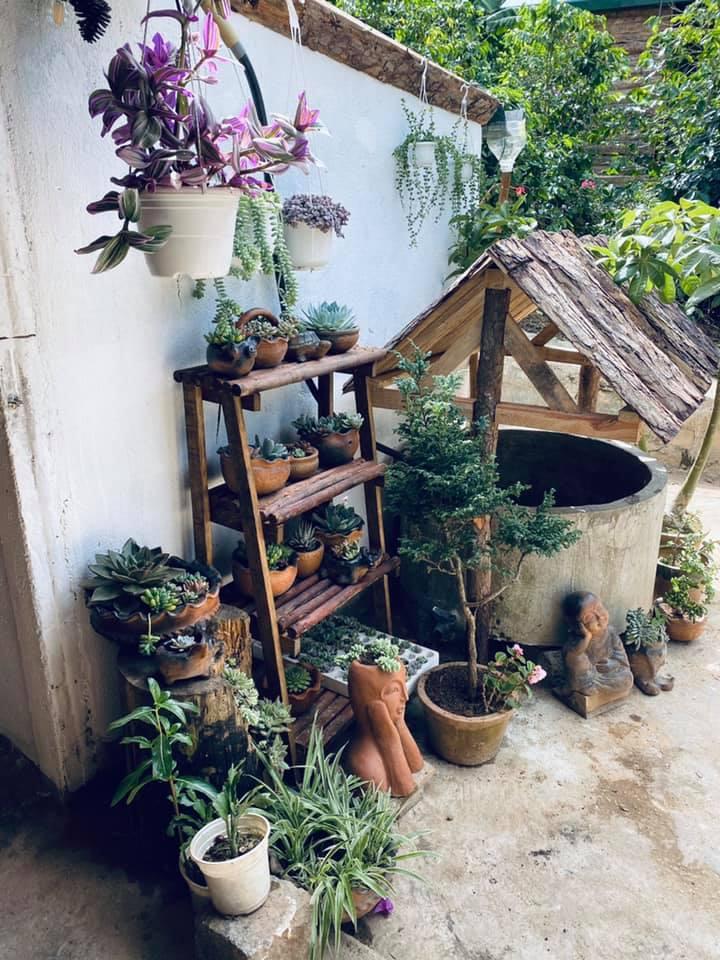 Ngôi nhà trên đỉnh núi mây phủ, ngập tràn hương sắc hoa-26