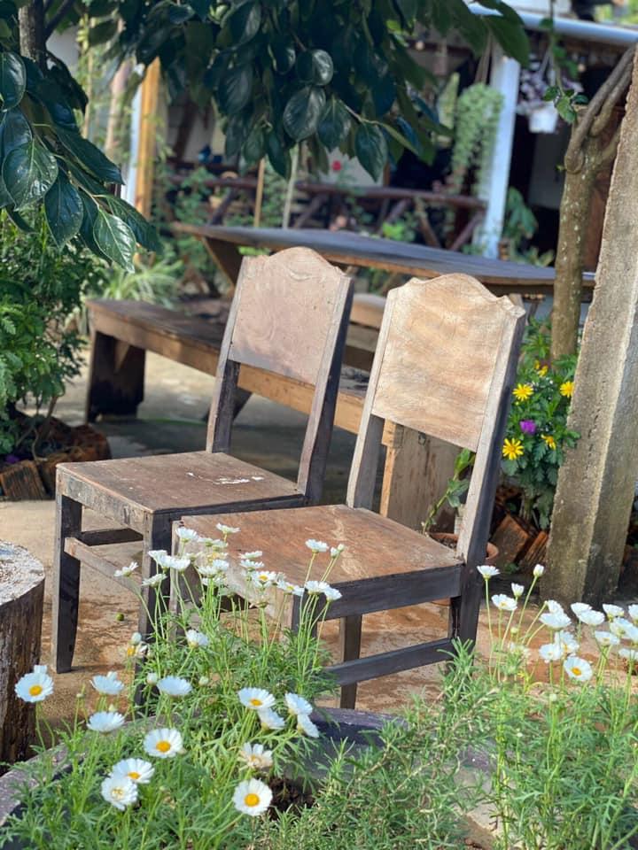 Ngôi nhà trên đỉnh núi mây phủ, ngập tràn hương sắc hoa-27