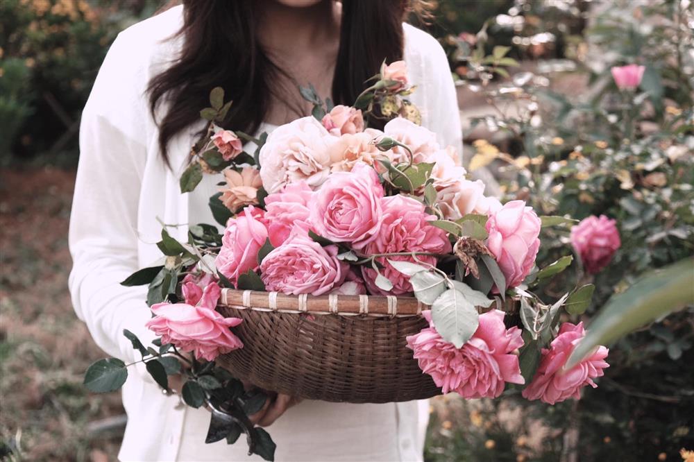 Ngôi nhà trên đỉnh núi mây phủ, ngập tràn hương sắc hoa-28