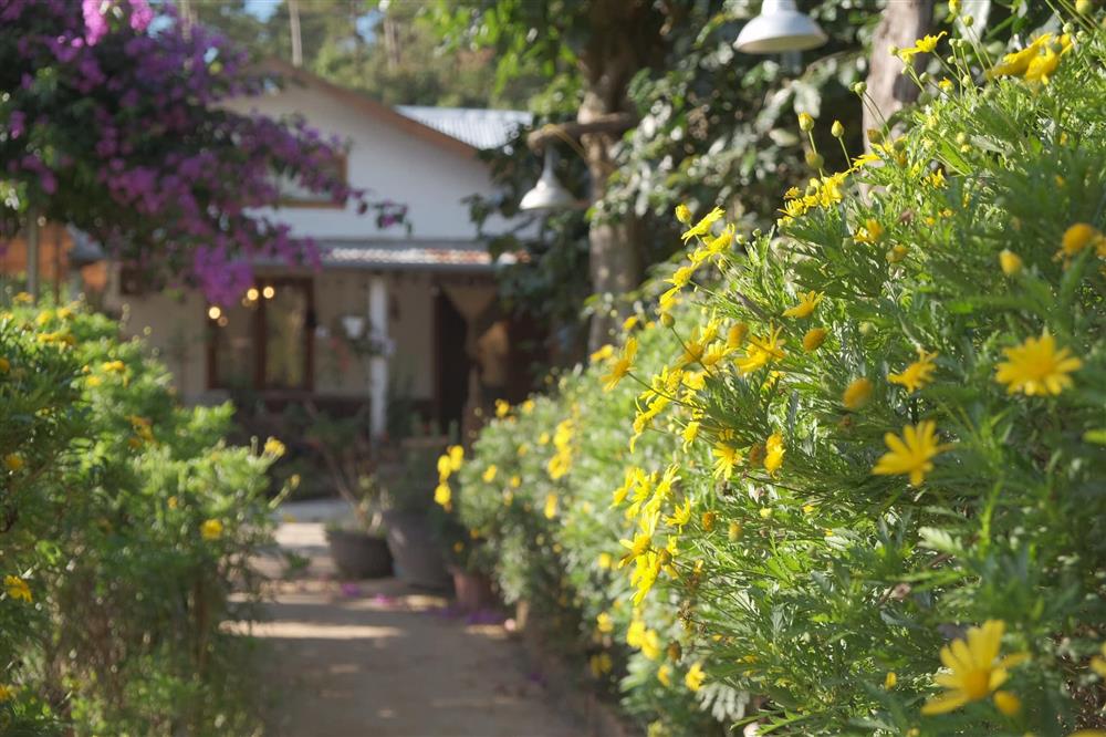 Ngôi nhà trên đỉnh núi mây phủ, ngập tràn hương sắc hoa-31