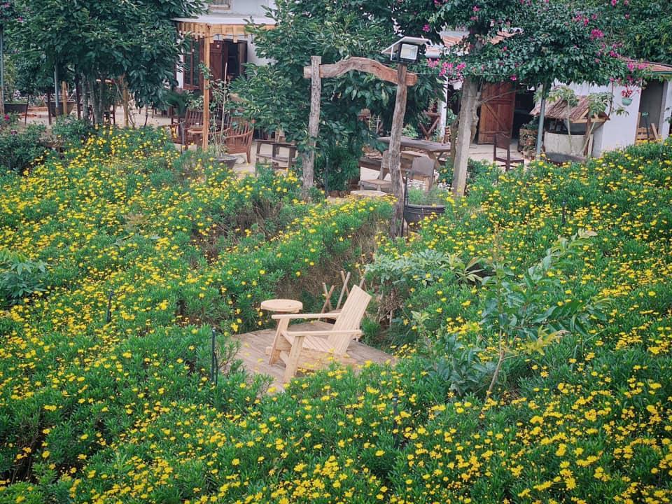 Ngôi nhà trên đỉnh núi mây phủ, ngập tràn hương sắc hoa-38