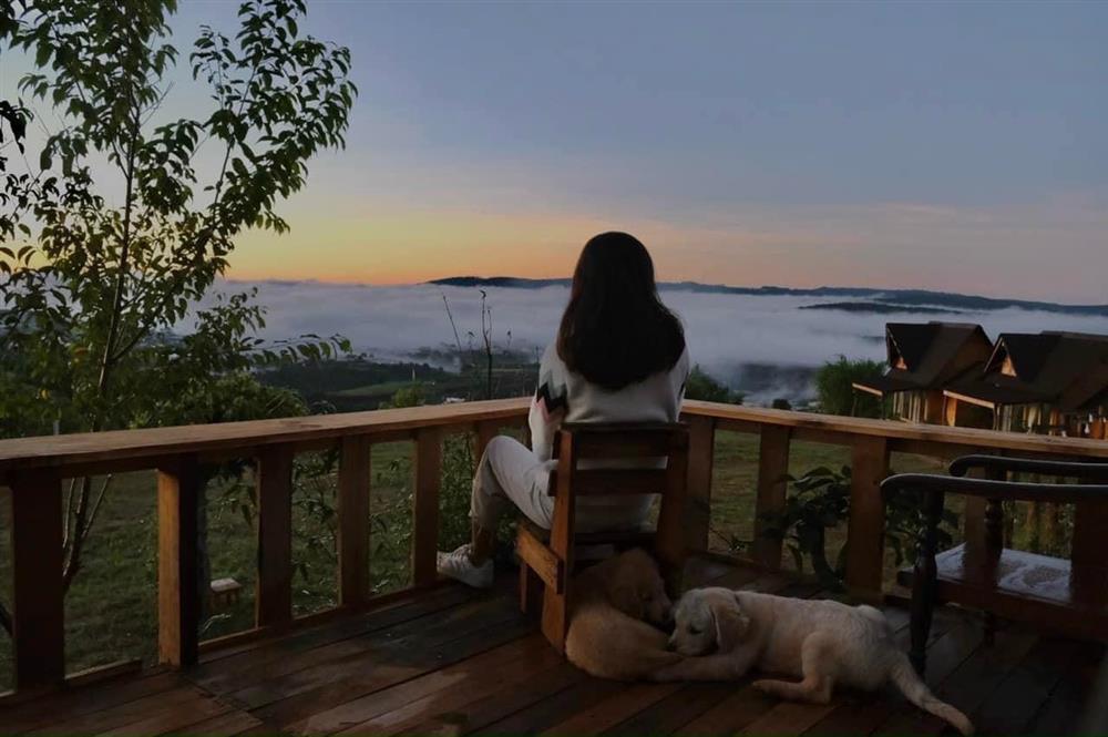 Ngôi nhà trên đỉnh núi mây phủ, ngập tràn hương sắc hoa-40