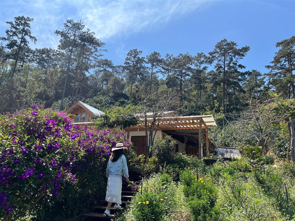 Ngôi nhà trên đỉnh núi mây phủ, ngập tràn hương sắc hoa-41