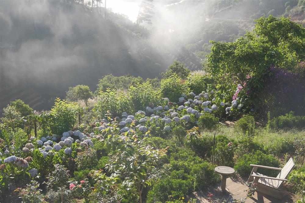 Ngôi nhà trên đỉnh núi mây phủ, ngập tràn hương sắc hoa-44