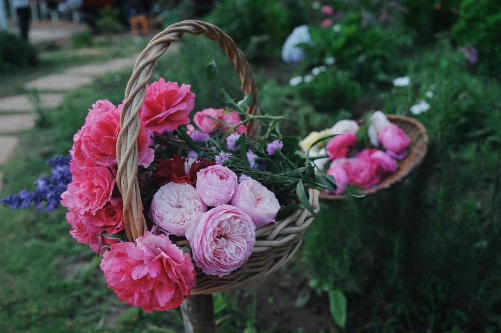 Ngôi nhà trên đỉnh núi mây phủ, ngập tràn hương sắc hoa-46