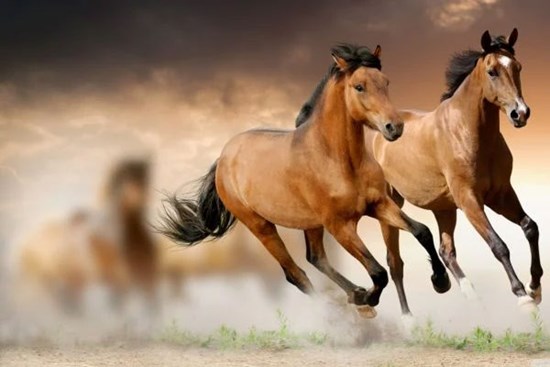 10 ngày đầu tháng 5 âm lịch: 3 tuổi này lọt vào mắt xanh Thần Tài, may mắn ngập lối