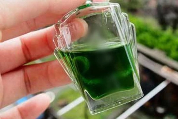 Dùng 1 trong 3 thứ này bôi vào lòng bàn chân trước khi ngủ giúp thải độc, đẹp da-2