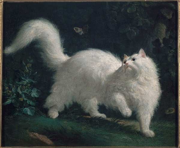 Tháng 5 âm được gọi là tháng Cửu Độc: 4 con giáp xui xẻo nhất, dễ gặp tiểu nhân, tiền của trôi sạch-2