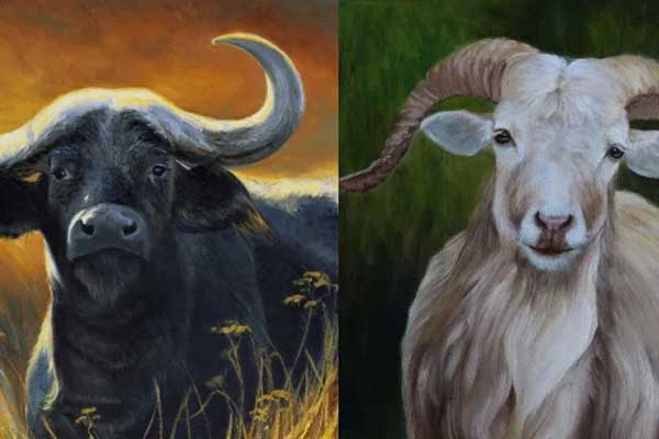 Số mệnh an bài: 3 con giáp này sinh con trai thì phú quý 3 đời, sinh con gái thì phát tài phát lộc-4