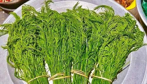 Bốn loại rau đắt hơn thịt có tiền chưa chắc mua được-12