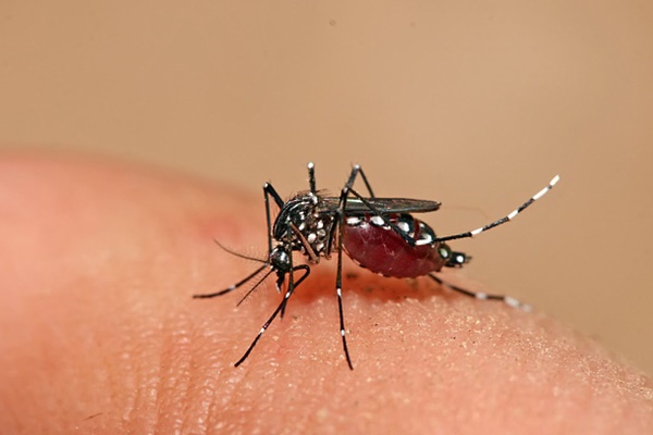 Sau mưa ngập, 5 bệnh này rất dễ tìm đến bạn!-4