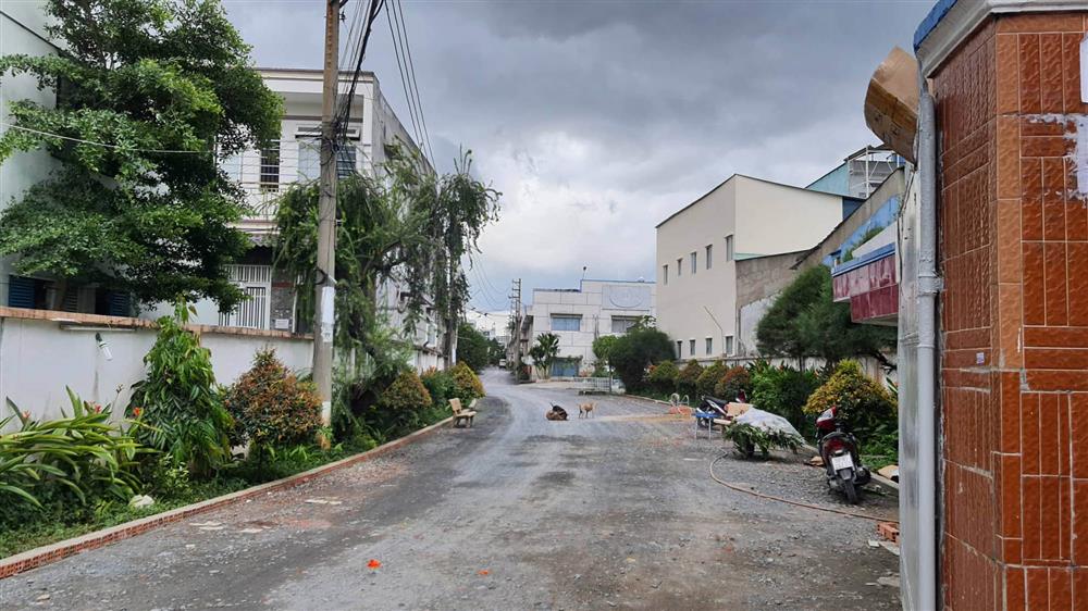 Người bạo hành bé gái 1 tuổi ở TP.HCM đến chết là ai?-1