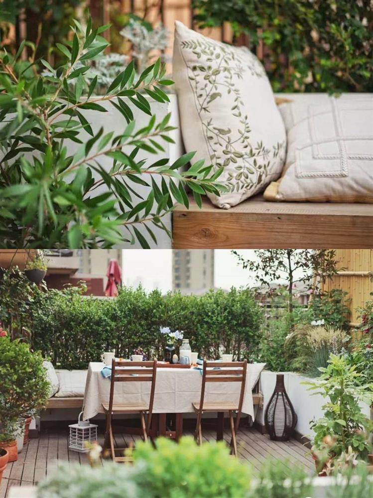 Chỉ rộng vỏn vẹn 30m², khu vườn sân thượng của mẹ đảm có đến 400 loại thực vật-1