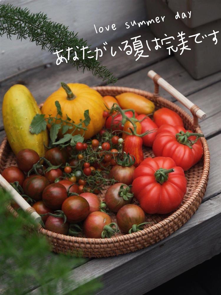 Chỉ rộng vỏn vẹn 30m², khu vườn sân thượng của mẹ đảm có đến 400 loại thực vật-10