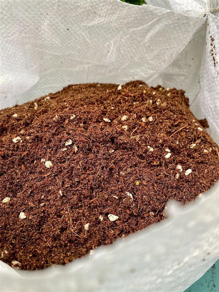 Chỉ rộng vỏn vẹn 30m², khu vườn sân thượng của mẹ đảm có đến 400 loại thực vật-13