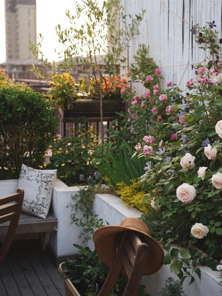 Chỉ rộng vỏn vẹn 30m², khu vườn sân thượng của mẹ đảm có đến 400 loại thực vật-14