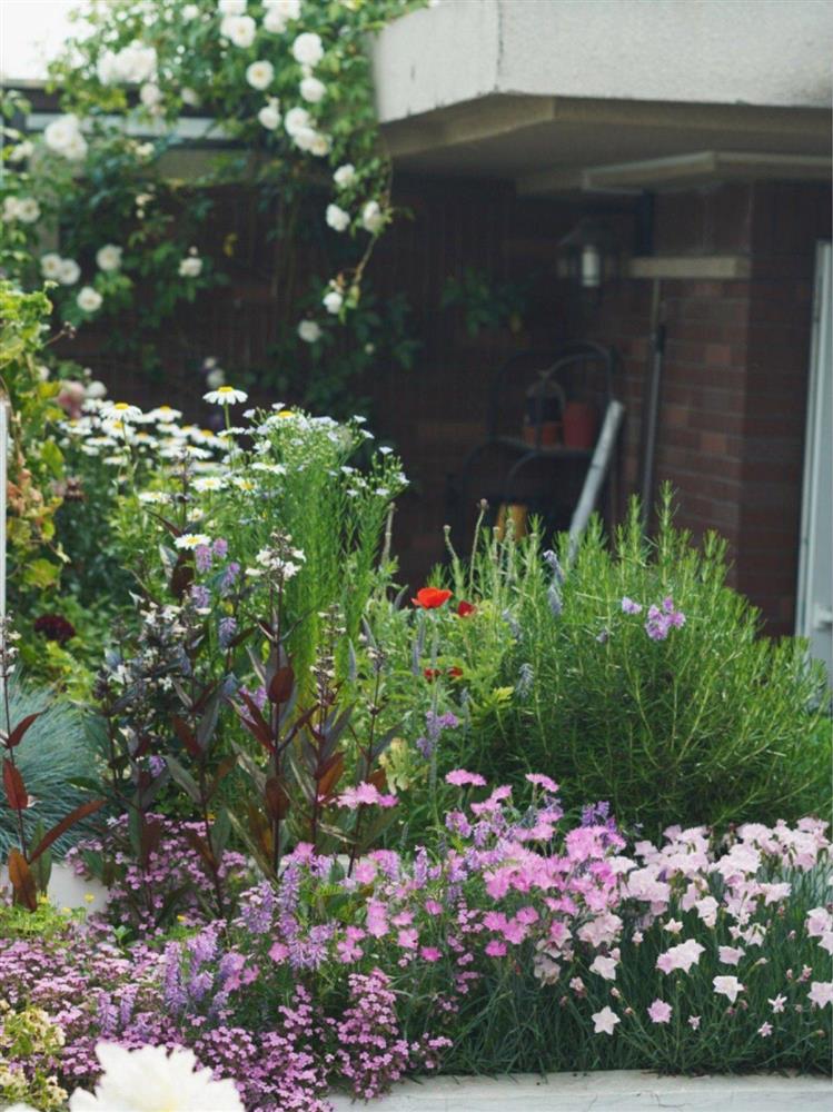 Chỉ rộng vỏn vẹn 30m², khu vườn sân thượng của mẹ đảm có đến 400 loại thực vật-15