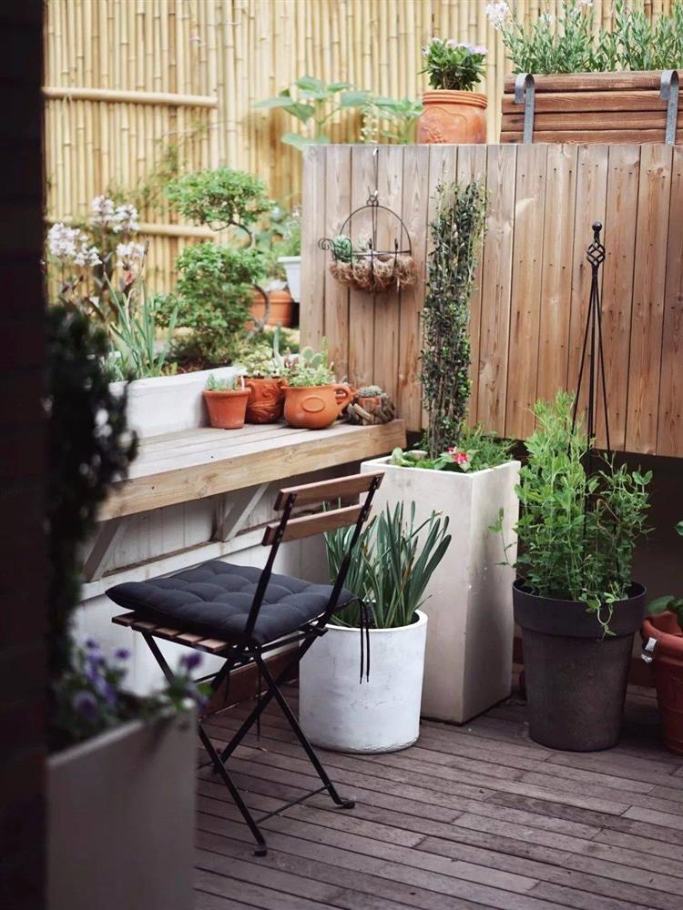 Chỉ rộng vỏn vẹn 30m², khu vườn sân thượng của mẹ đảm có đến 400 loại thực vật-19