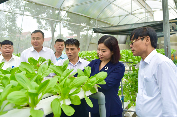 Sóc Sơn: Phấn đấu có 1/3 số xã của huyện đạt chuẩn nông thôn mới nâng cao-1