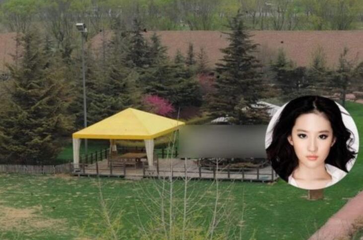 Choáng ngợp biệt thự nghìn tỷ của Lưu Diệc Phi, phóng viên không thể chụp hết toàn cảnh trong một bức hình-2