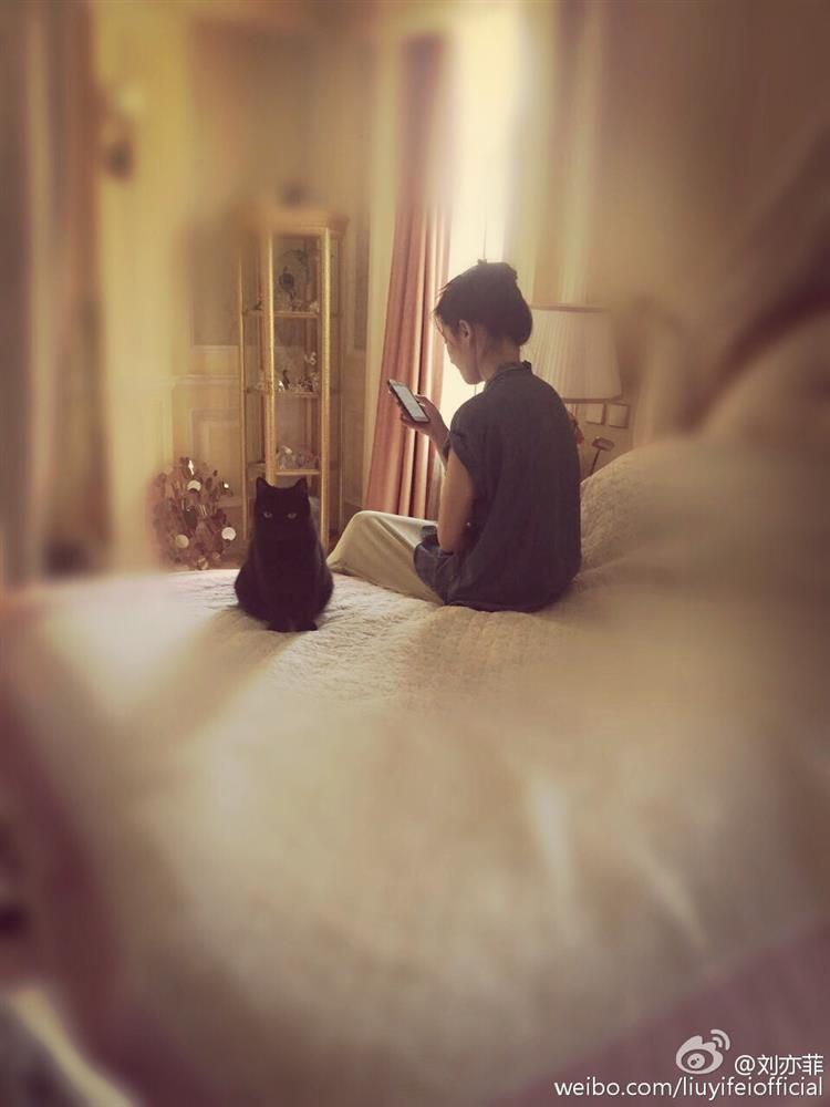 Choáng ngợp biệt thự nghìn tỷ của Lưu Diệc Phi, phóng viên không thể chụp hết toàn cảnh trong một bức hình-7