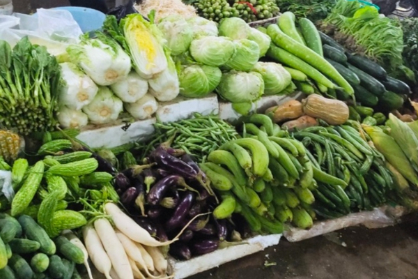 Phú Quốc: Hành lá bán 300.000đ/kg, rau muống 60.000đ/kg-3