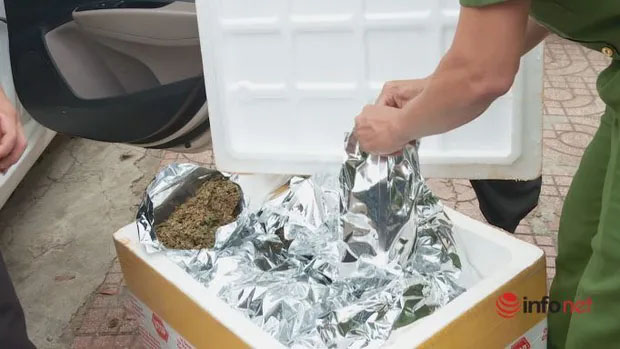 Liều lĩnh hóa trang 3kg cần sa thành trà atiso đỏ gửi qua bưu điện-2