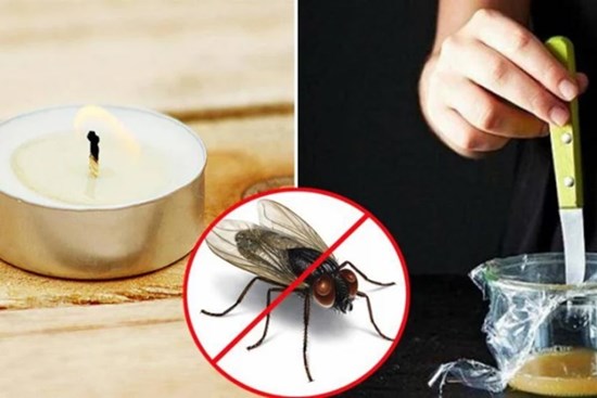 Dùng 10 chiêu độc này, ruồi muỗi nhiều đến mấy cũng 