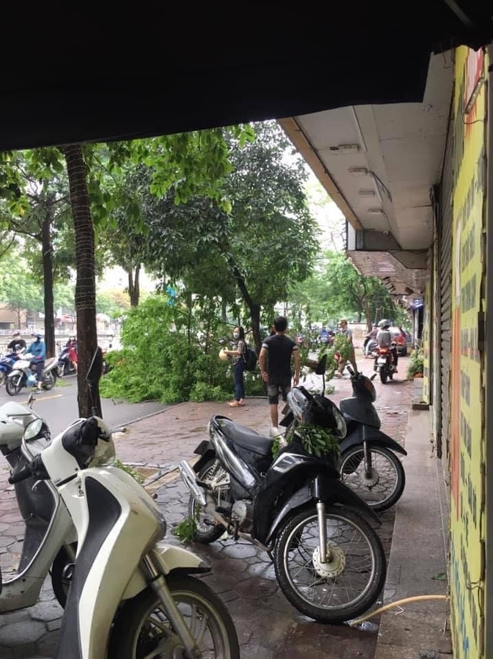 Hú hồn cây xanh trên đường Hà Nội bỗng nhiên bật gốc đổ đè vào 3 người đi xe máy-1