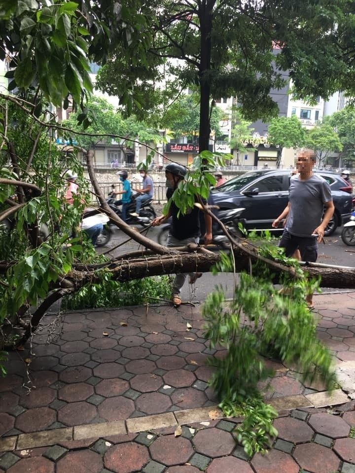 Hú hồn cây xanh trên đường Hà Nội bỗng nhiên bật gốc đổ đè vào 3 người đi xe máy-2