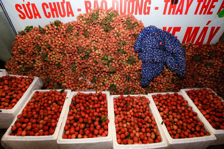Gần 450.000 đồng/kg vải thiều tươi trong các siêu thị tại Mỹ-1