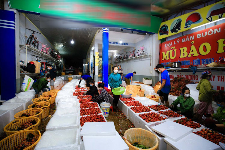 Gần 450.000 đồng/kg vải thiều tươi trong các siêu thị tại Mỹ-2