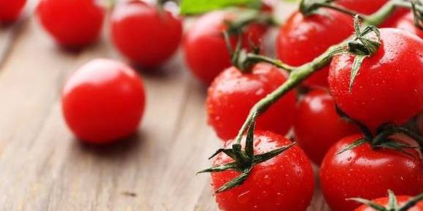 Mỗi sáng ăn 1 quả cà chua sẽ nhận 3 lợi ích, nhưng cũng có 2 điều cấm kị nhất định phải nhớ-2