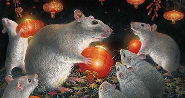 3 tuổi đen nhất tháng 6 dương: Đụng đâu cũng mất tiền, của nả không cánh mà bay-3