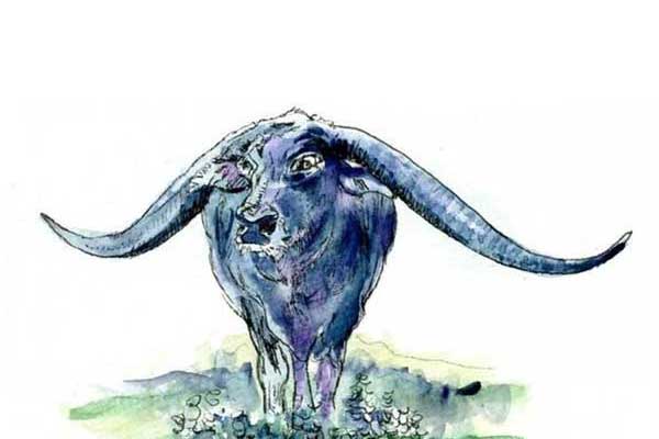 Nhìn trán biết số mệnh: 5 tướng trán sướng từ trong trứng, ngồi mát ăn bát vàng, 2 kiểu làm mấy vẫn nghèo hèn-2