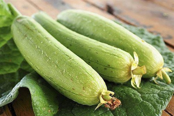 Ăn mướp nếu thấy dấu hiệu này phải bỏ ngay kẻo mất mạng-1