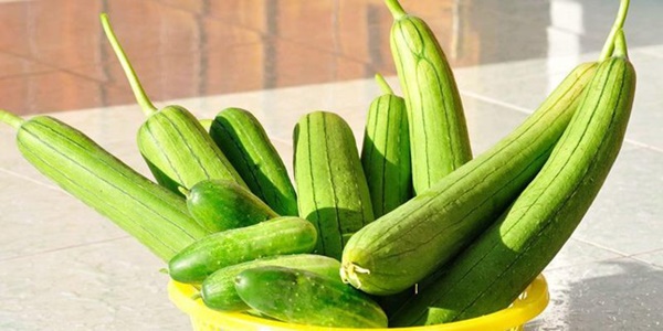 Ăn mướp nếu thấy dấu hiệu này phải bỏ ngay kẻo mất mạng-3