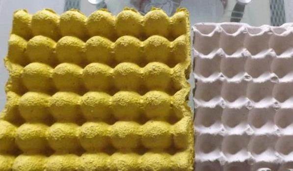 Đừng vội vứt khay trứng đi, đặt ngoài ban công được coi là bảo bối của cả gia đình-2