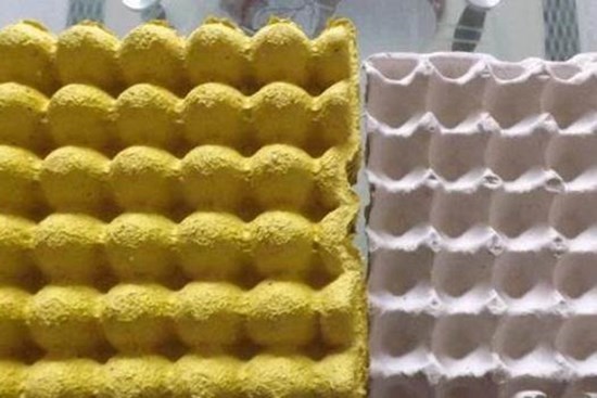 Đừng vội vứt khay trứng đi, đặt ngoài ban công được coi là bảo bối của cả gia đình