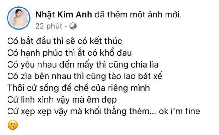Hậu tan vỡ trong hôn nhân, Nhật Kim Anh không còn tha thiết gì với chuyện yêu đương-2