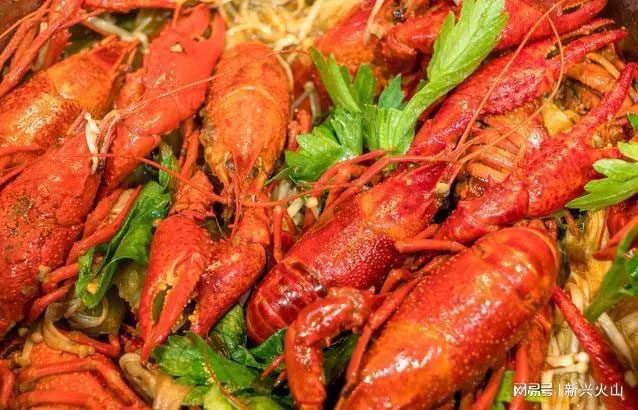 Khách ăn buffet hết 40kg tôm hùm đất, quán lỗ nặng, chủ khóc ròng-2