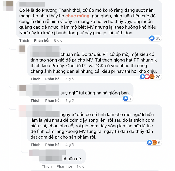 Netizen ném đá Phương Thanh giả vờ yêu trai trẻ để PR, nữ ca sĩ đanh thép phản pháo-6