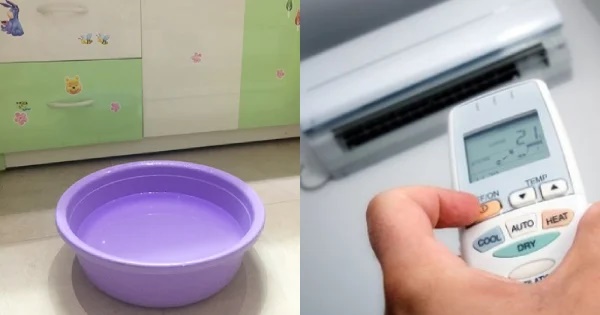 Đặt chậu nước trong phòng khi bật điều hòa là đúng hay sai: Ai cũng kháo nhau làm mà không rõ lợi - hại-1